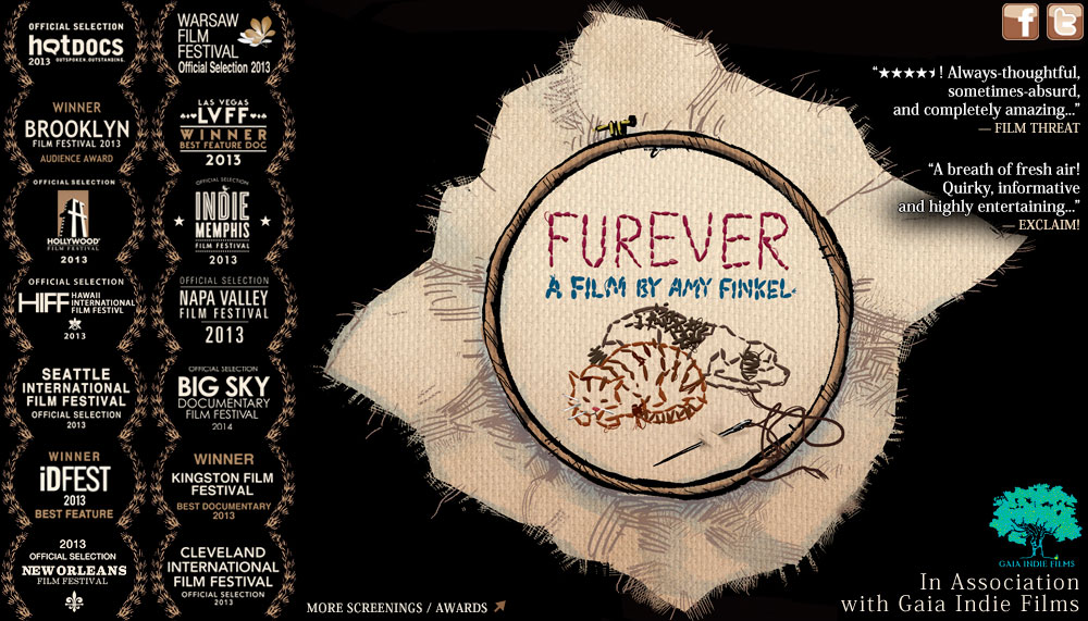 6 Questions: Amy Finkel